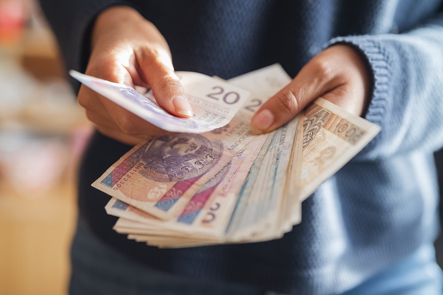 the girl holds in her hands banknotes money polish zlotys and pe